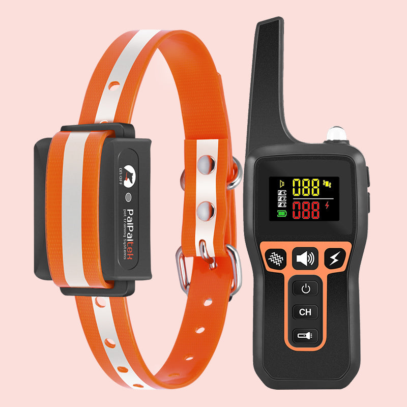 New Product – PaiPaitek