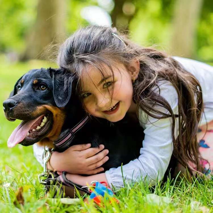 Having cute pets at home: How owners can scientifically train their dogs at home.