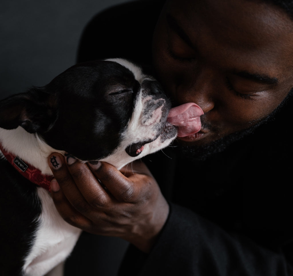 Why does my dog lick me so much？