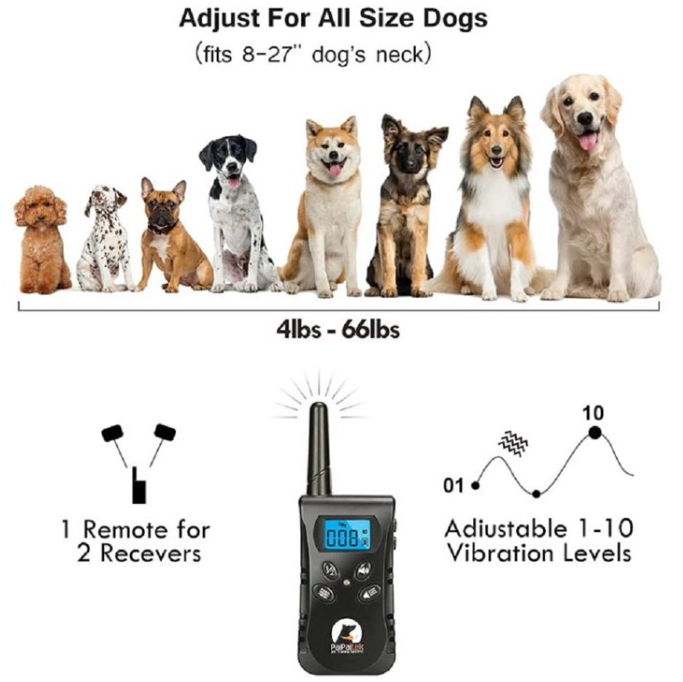 Vibration Collar Vs Shock Collar Paipaitek Dog Training Collar No Shock, Vibrating Dog Collar With Remote Vibration Collar Vs Shock Collar Paipaitek Dog Training Collar No Shock, Vibrating Dog Collar With Remote