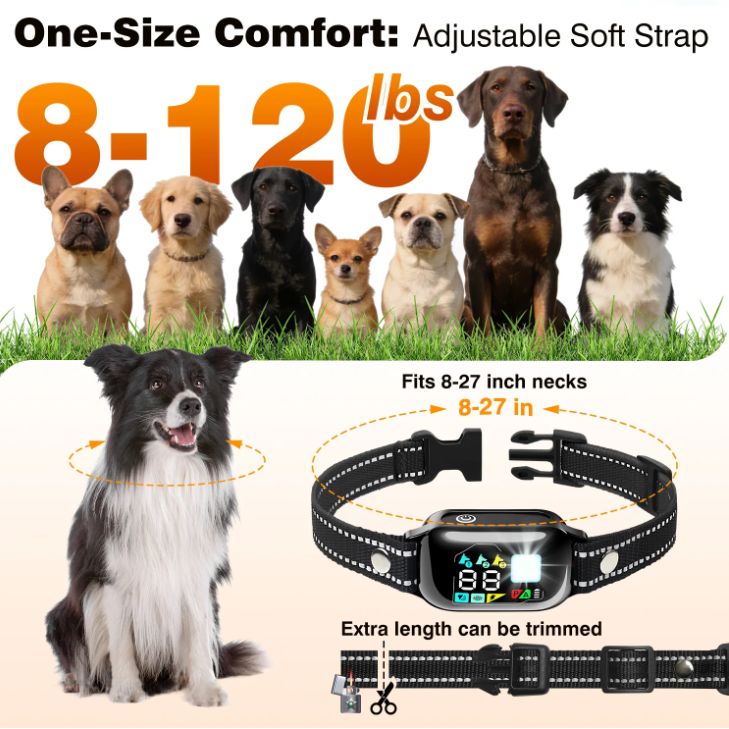 PetJoy 2 in 1 Dog Shock Collar with Remote 2 Dogs,3300Ft Dog