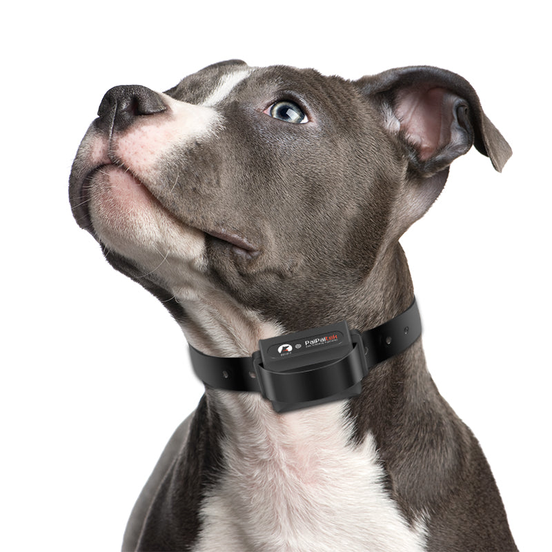 Paipaitek Dog Shock Collar,Dog Training Collar with Remote UP to 3200 Feet,  Waterproof Electric Dog Collar with Beep,Vibration,Shock,2 IN 1 Dog Bark  Collar 